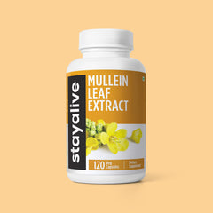 Mullein Leaf Extract Capsule